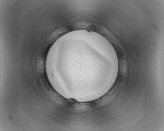 X0000111010378200907061000