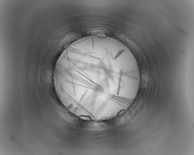 X0000111010379200907061000