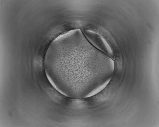 X0000111010380200907061000
