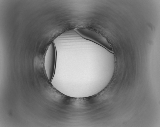X0000111010384200907061000