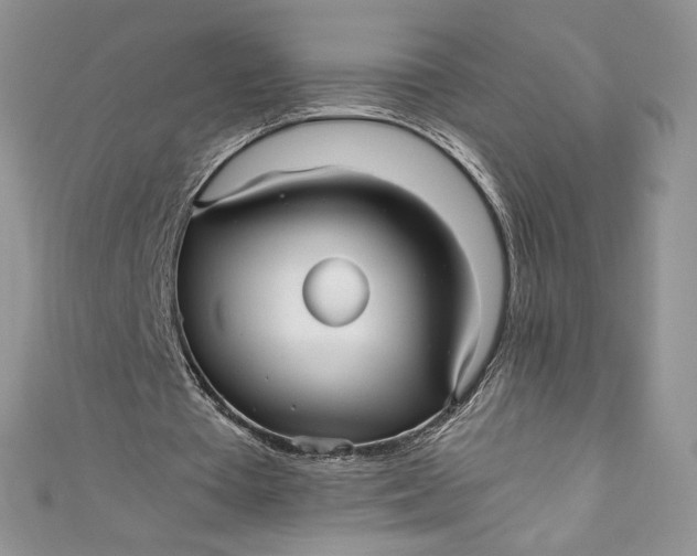 X0000111010385200907060959