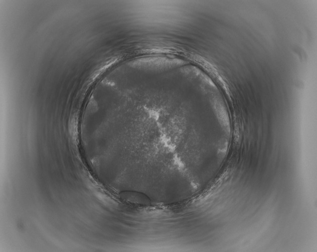 X0000111010386200907060959
