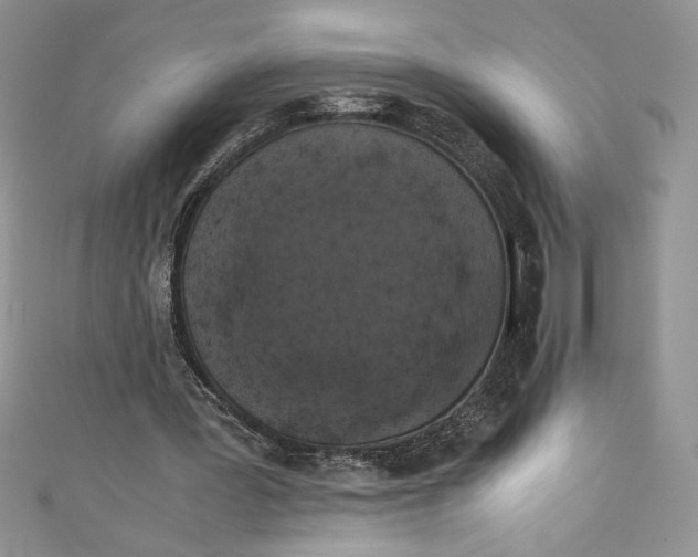 X0000111010387200907060959