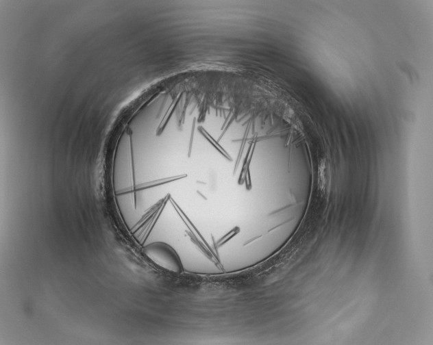 X0000111010388200907060959