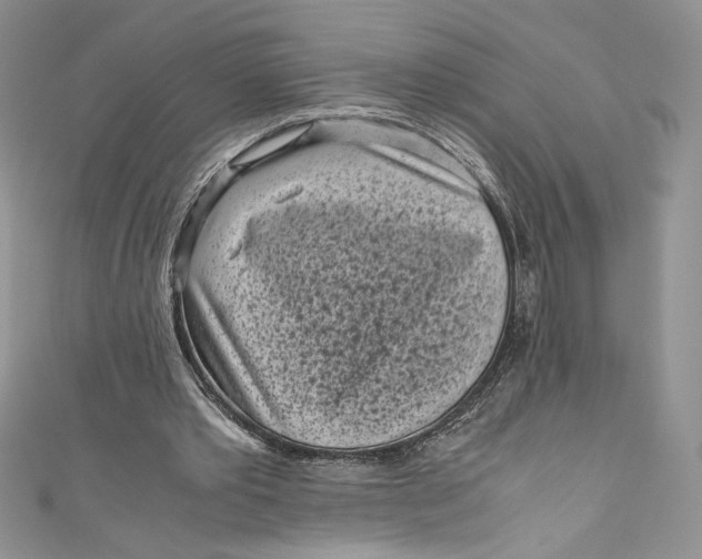 X0000111010389200907060959