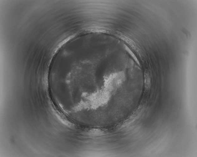 X0000111010390200907060959