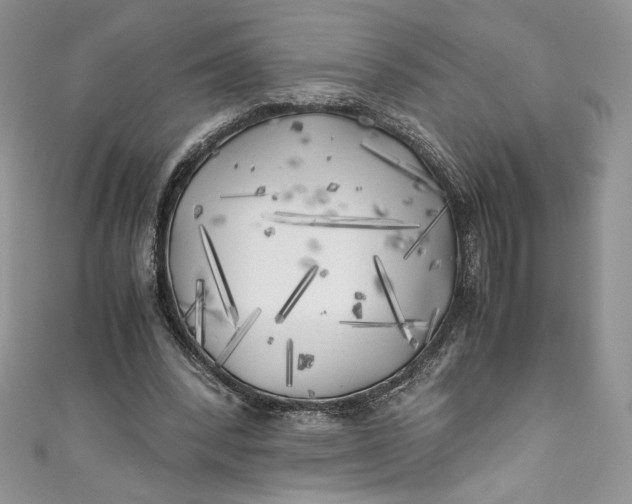 X0000111010392200907060959