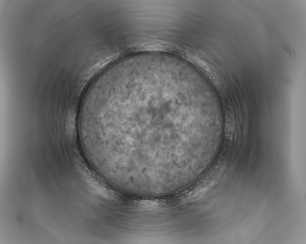 X0000111010394200907060959