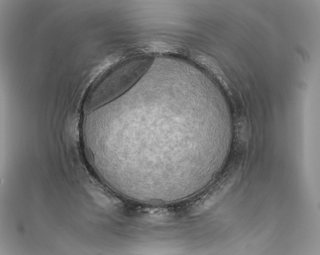 X0000111010395200907060959