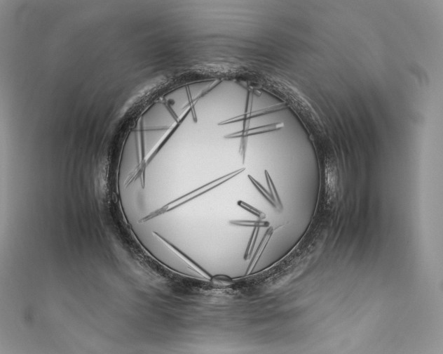 X0000111010396200907060959
