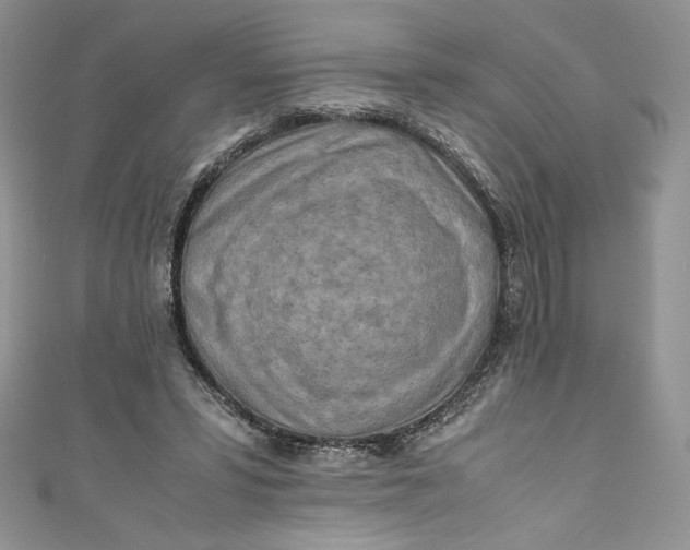X0000111010399200907060959