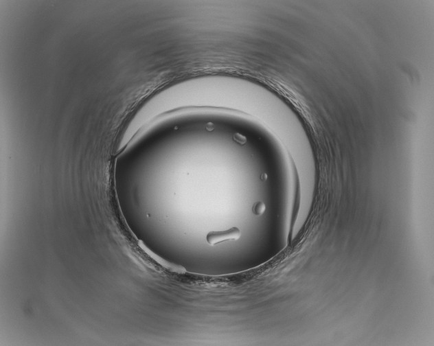 X0000111010401200907060959