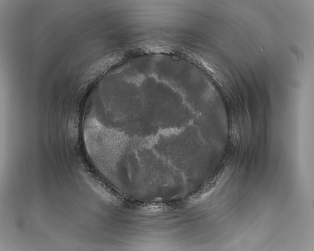 X0000111010402200907060959