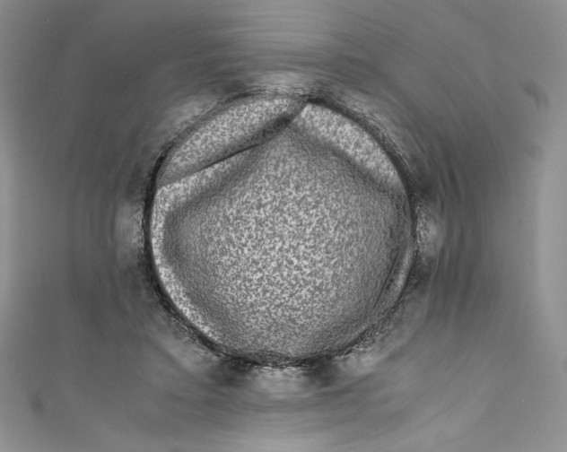 X0000111010403200907060959