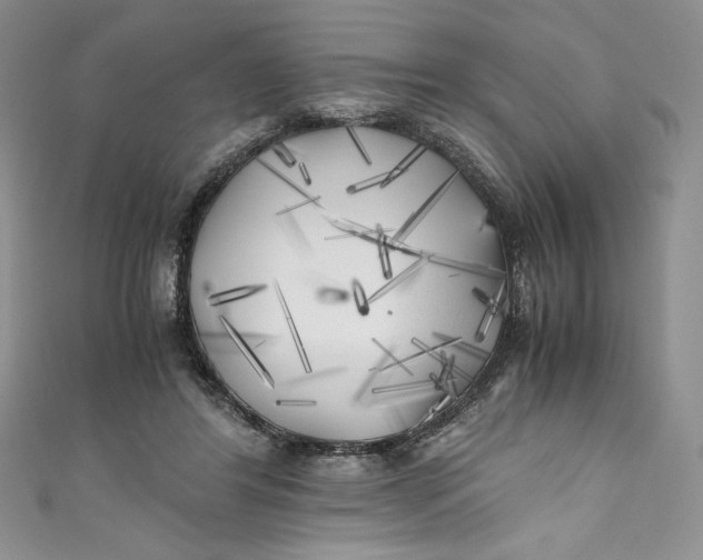 X0000111010404200907060959
