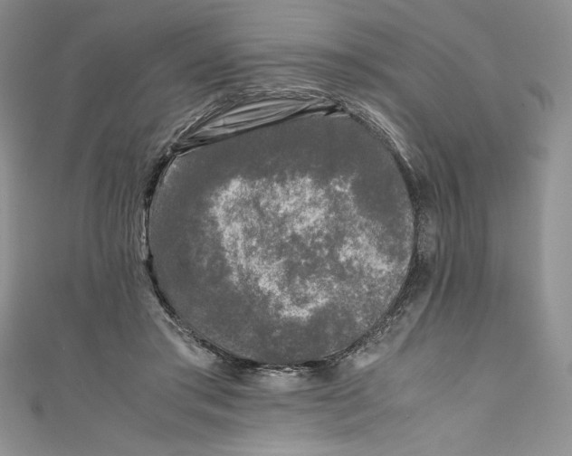 X0000111010405200907060959