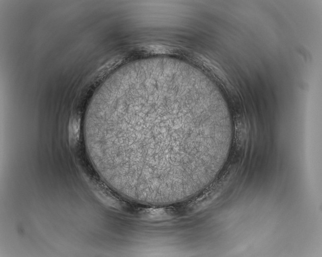 X0000111010406200907060959