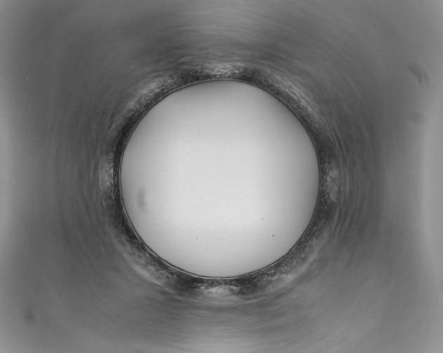 X0000111010407200907060959