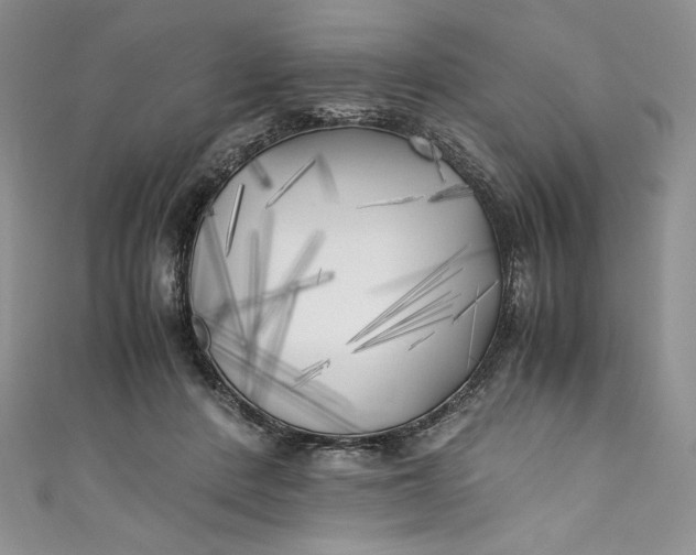 X0000111010408200907060959