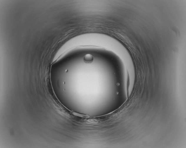X0000111010409200907060959