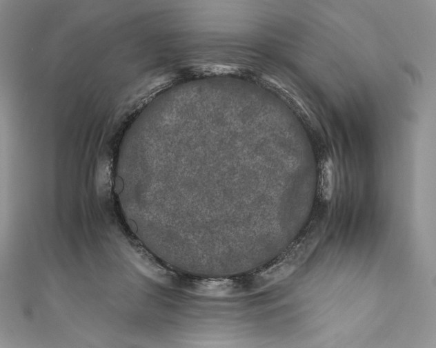 X0000111010410200907060959