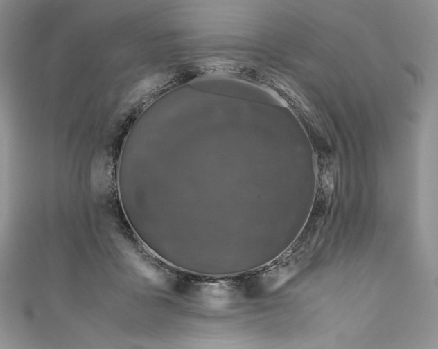 X0000111010411200907060959