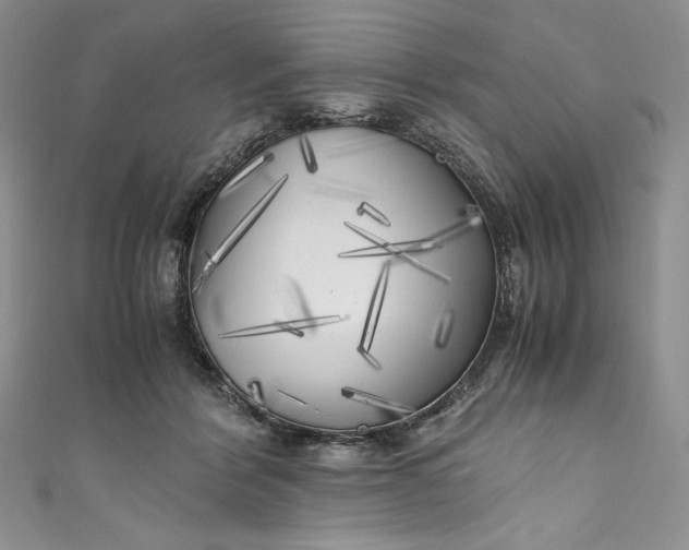 X0000111010412200907060959