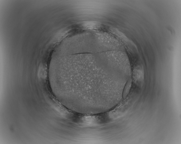 X0000111010413200907060959
