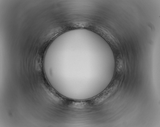X0000111010414200907060959