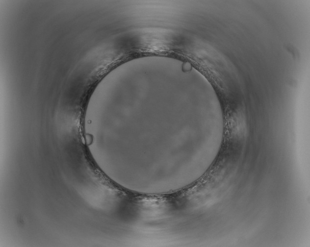 X0000111010415200907060959