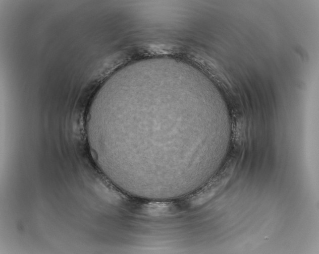 X0000111010418200907060959