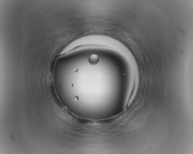 X0000111010419200907060959