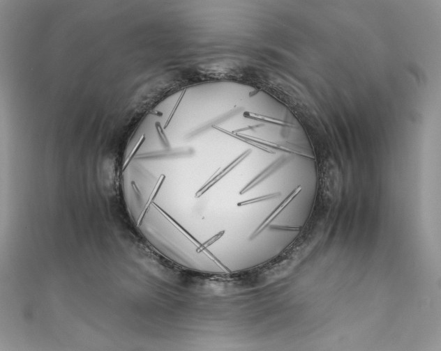 X0000111010420200907060959