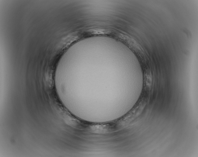 X0000111010422200907060959
