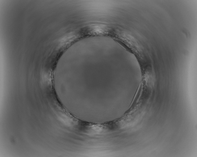 X0000111010423200907060959