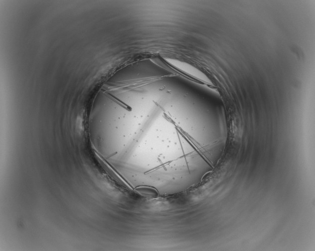 X0000111010424200907060959