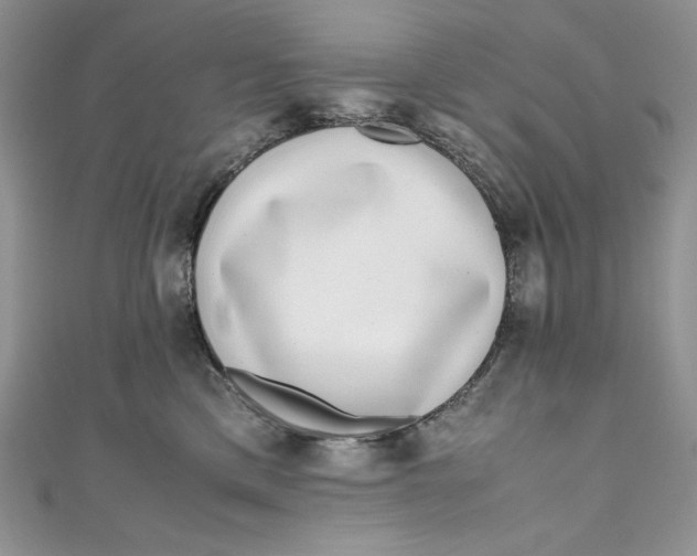 X0000111010425200907060959