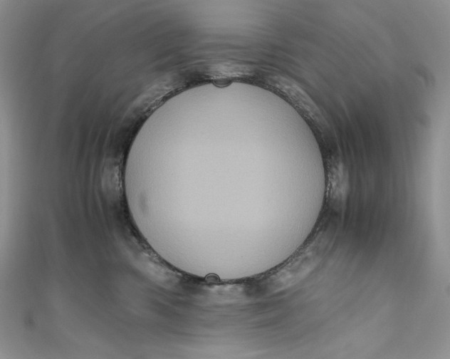 X0000111010426200907060959