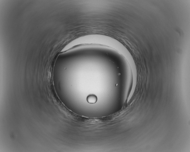 X0000111010427200907060959
