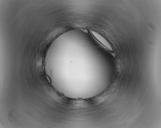 X0000111010428200907060959