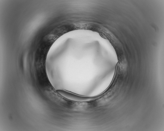X0000111010429200907060959