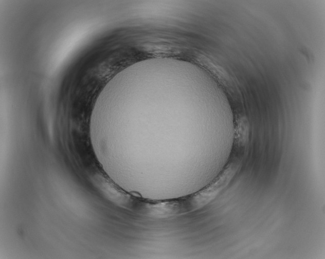 X0000111010430200907060959