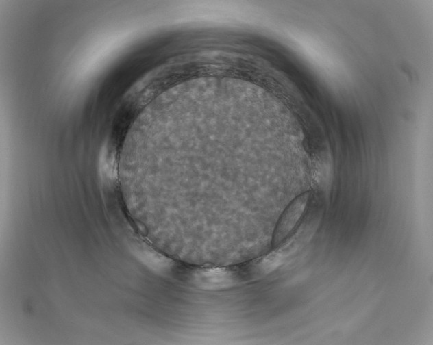 X0000111010431200907060959