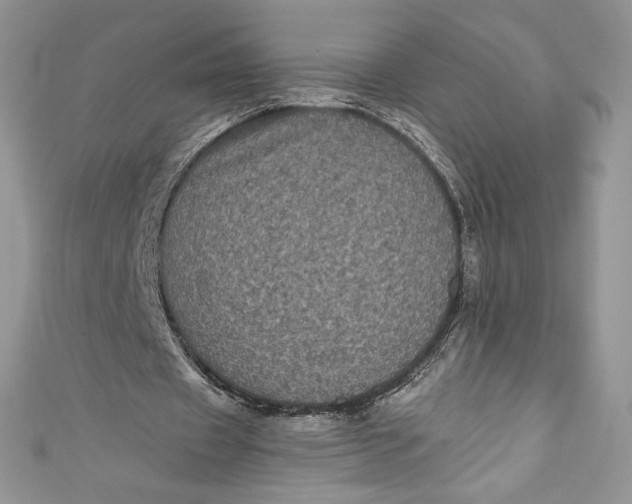 X0000111010433200907060958
