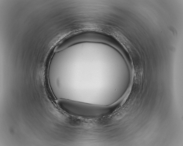 X0000111010436200907060958