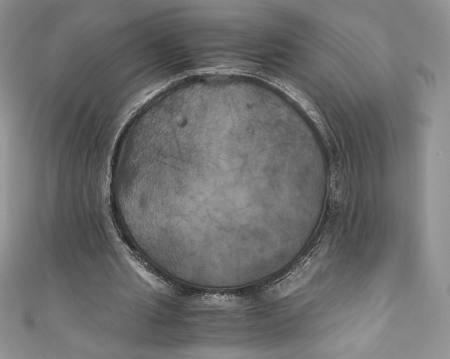 X0000111010437200907060958
