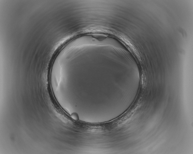 X0000111010438200907060958