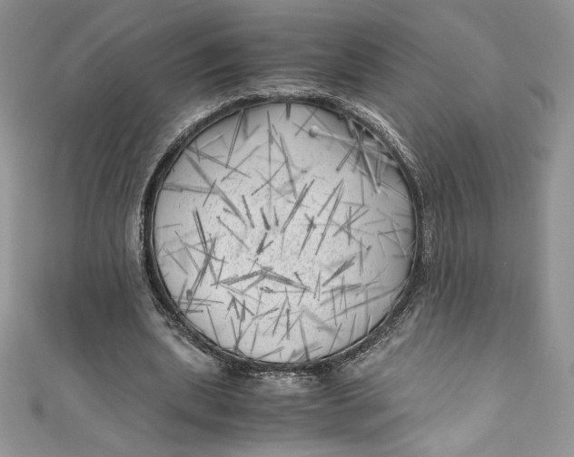 X0000111010439200907060958