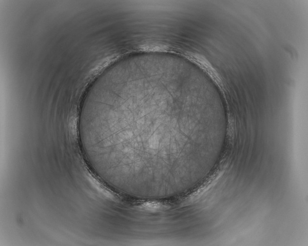 X0000111010441200907060958