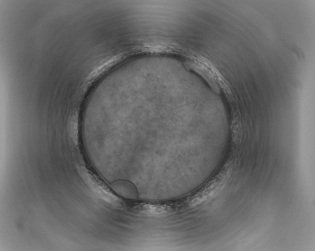 X0000111010442200907060958